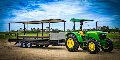 Imagen principal de Tractor tour of Caldermeade Farm - 11am slot
