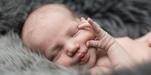 Hauptbild für Babyfotografie