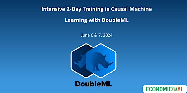 2-Day Training in Causal ML with DoubleML (online, 8am New York/2pm Berlin)