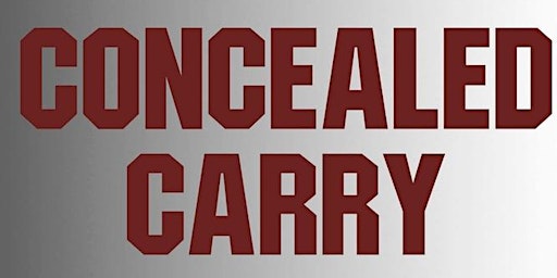CONCEALED CARRY FUNDAMENTALS primary image