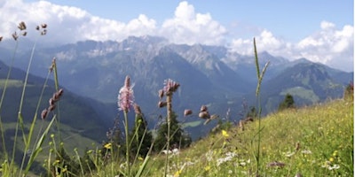 Hauptbild für Work-Life-Design im Allgäu (Panoramahotel Oberjoch)