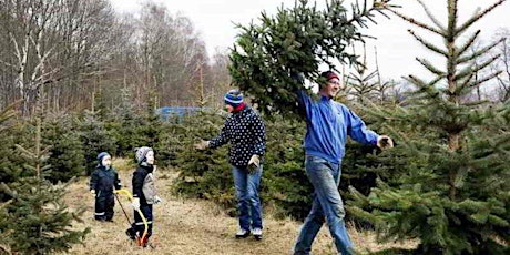 Hauptbild für Traditional Christmas Tree Cutting Event!