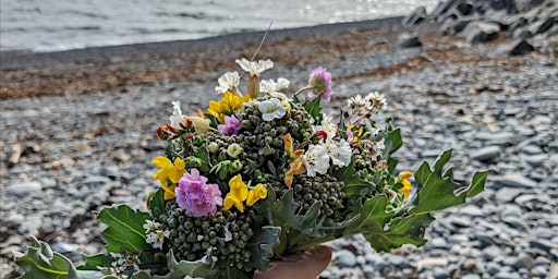 Foreshore Foraging with Coeur Sauvage at Longniddry Bents primary image