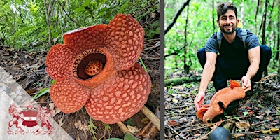 Imagem principal do evento Pathless Forest | The Quest To Save The World’s Largest Flowers