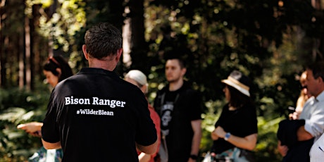 Bison Ranger Experiences: A Morning at West Blean