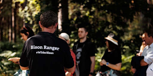 Hauptbild für Bison Ranger Experiences: A Morning at West Blean