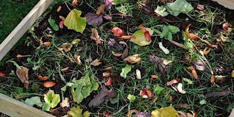 FREE In-person Workshop: Composting Basics