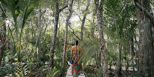 Wild Wisdom Retreat in Tulum primary image