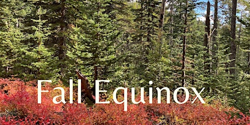 Primaire afbeelding van Fall Equinox Rewilding Retreat