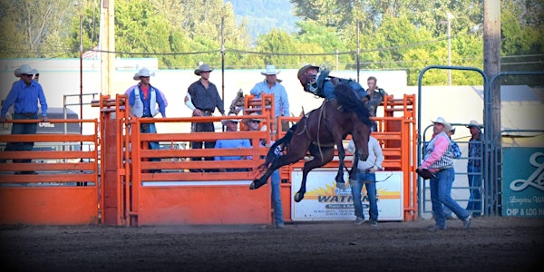 Thunder Mountain Pro Rodeo Friday 7.26.19 Performance