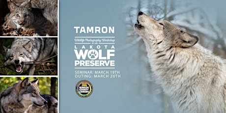 Lakota Wolf Preserve with Tamron primary image