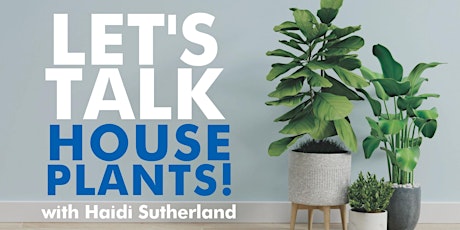Let's talk about house plants primary image