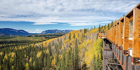 Rail Trails and Trestle Bridges- 2B (Nordegg area) MAY