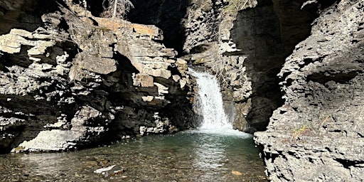 Hauptbild für Guided Hike to Tershishner falls (3BS) (Nordegg area)