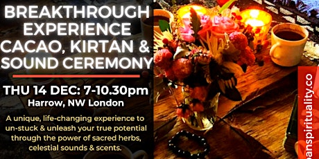 GOING DEEPER - BREAKTHROUGH EXPERIENCE: CACAO, SOUND & PLANT CEREMONY! primary image
