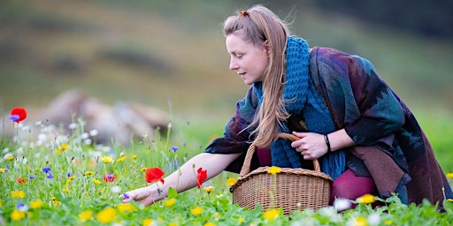 Primaire afbeelding van Foraging Across the Seasons (Autumn)