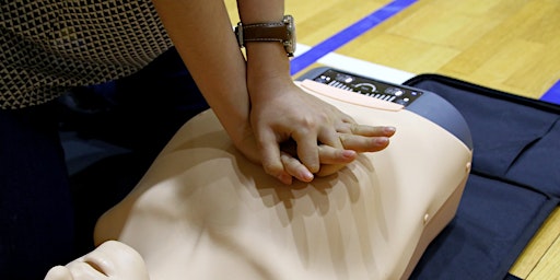 American Heart Association Basic Life Support (BLS) primary image