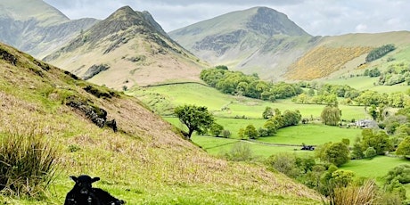 Blencathra Mountain Adventure Day