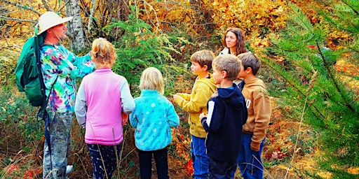 Image principale de FOREST EDIBLES - Edible and Medicinal Plants, Lichen and Fungi Field Tour