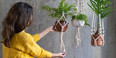 Imagem principal de Macrame Plant Hanger Workshop