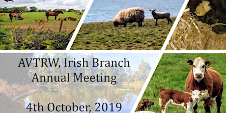 AVTRW, Irish Branch, Annual meeting primary image