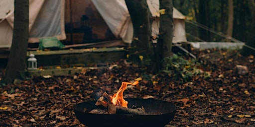 Immagine principale di Vik Fire and Ice Forest Retreat for Women 