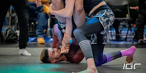 Immagine principale di Copy of Ironman Grappling Championships: IGC 13 