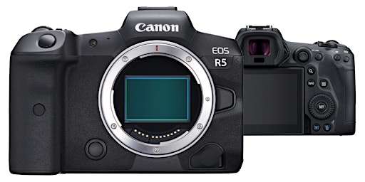 CANON EOS R Kameras - AF-Einstellungen und Individualfunktionen primary image