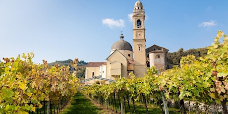 Imagen principal de World of Wine Series: Southwest France