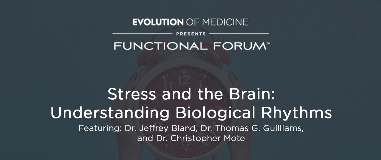 Functional Forum: Stress and the Brain: Understanding Biological Rhythms