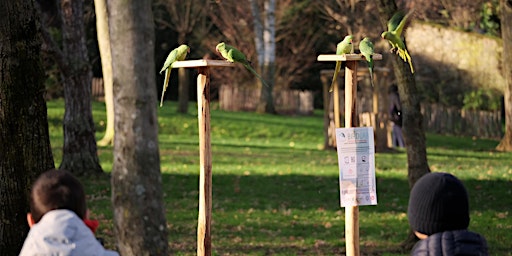 Immagine principale di Participez à BirdLab 