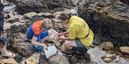 Rockpool Safari primary image