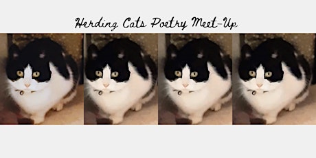 Herding Cats poetry meet-up  30th May 2024