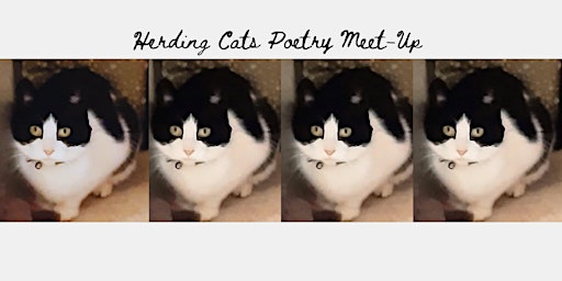 Herding Cats poetry meet-up  30th May 2024 primary image
