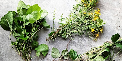 Hauptbild für Wildplukwandeling