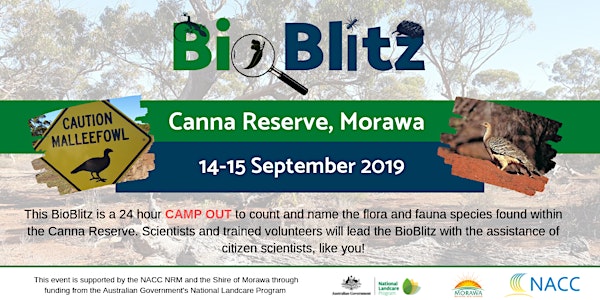 2019 Canna Reserve BioBlitz