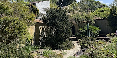 Garden Sundays at Turn End (the garden of architect Peter Aldington) primary image