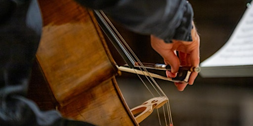 Image principale de Les 4 Saisons de Vivaldi, Ave Maria et Célèbres Adagios