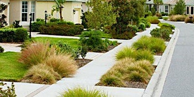 9 Florida Friendly Landscaping Principles primary image