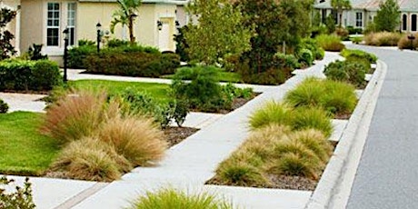 Image principale de 9 Florida Friendly Landscaping Principles