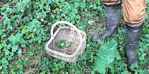 Wild Foraging  primärbild