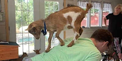 Goat Yoga at Legacy Lane Farm primary image