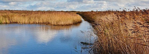 Collection image for Hickling Winter Boat Trips