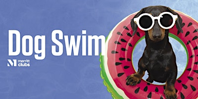 Hauptbild für Dog Swim – White Marsh