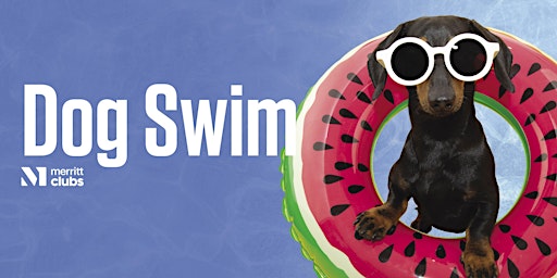 Hauptbild für Dog Swim – White Marsh