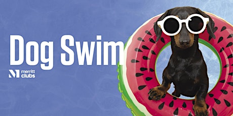 Primaire afbeelding van Dog Swim – White Marsh