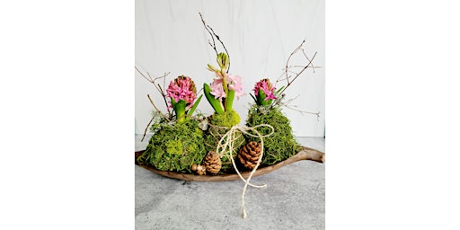 SOLD OUT! Rustic Cork, Mill Creek- Forced Bulb Centerpiece primary image