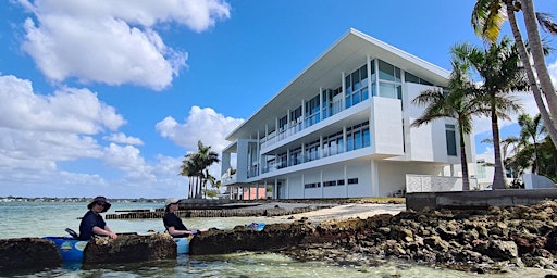 Primaire afbeelding van North Siesta Key Architectural Kayak Tour