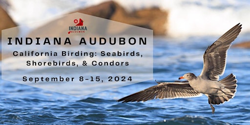 Imagem principal do evento Indiana Audubon 2024 California Birding Tour