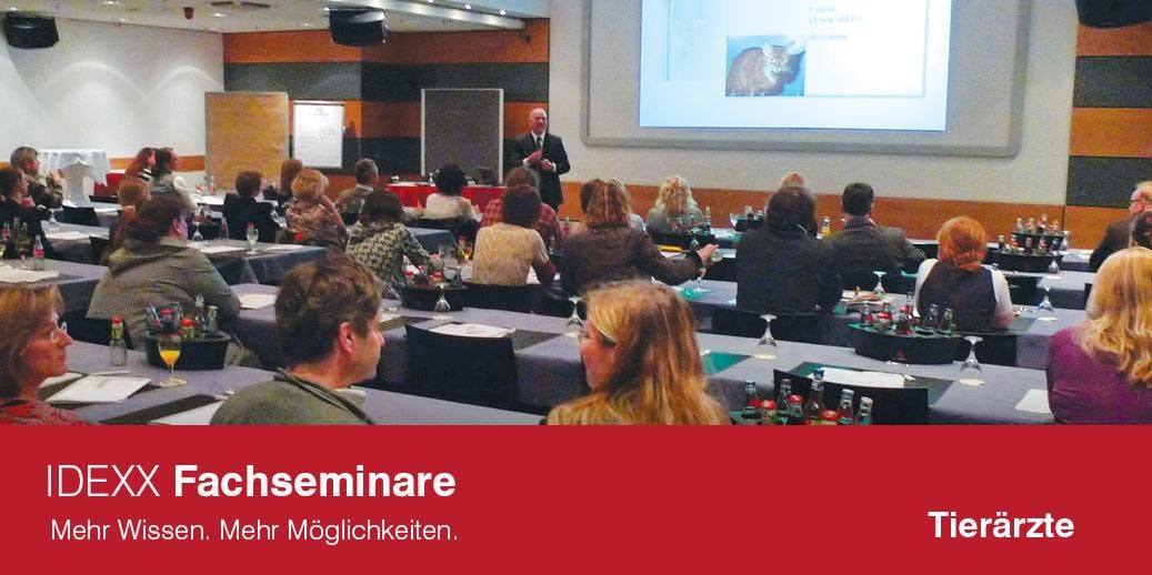 Seminar für Tierärzte in Hamburg am 23.10.2019: Virusinfektionen bei der Katze (FIV, FeLV, FIP, Calici und Co.)